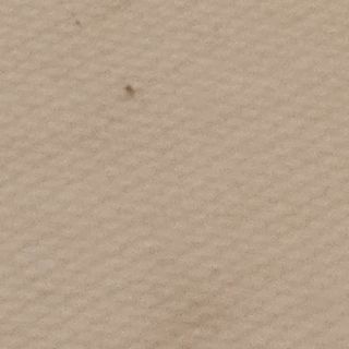 Pljeskavica na kajmaku