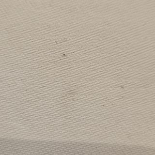 Dimljena pastrmka fileti