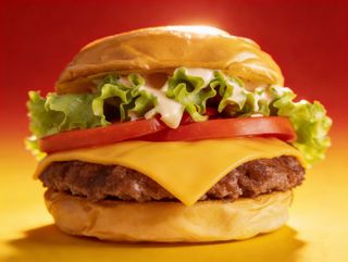 (SINGL) HASLERS SMASHBURGER