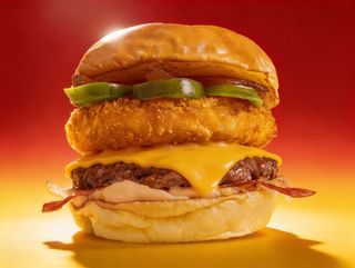 (SINGL) ASTRO BURGER