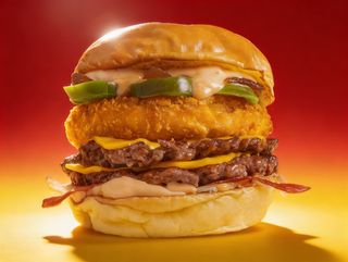 (DOUBLE) ASTRO BURGER