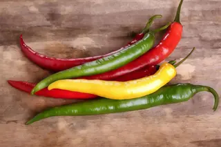 Ljuta paprika
