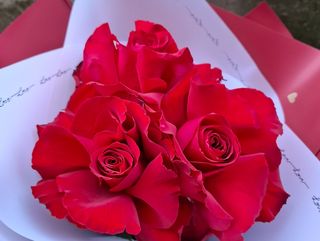 Crvene ruže