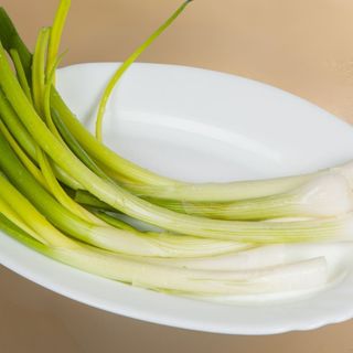 Mladi luk