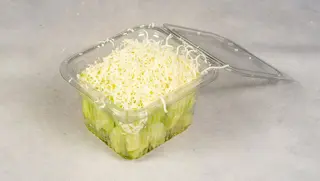 Krastavac salata sa sirom