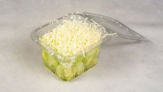 Krastavac salata sa sirom