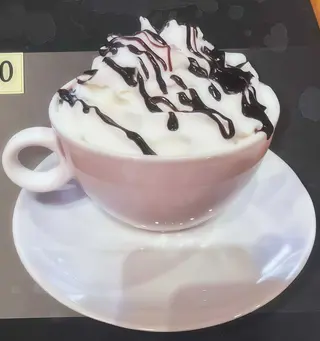 Mocha Lešnik