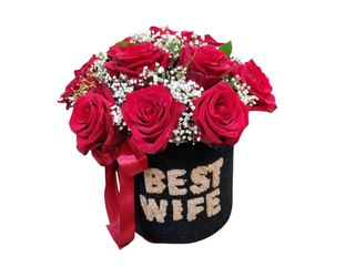 Best wife