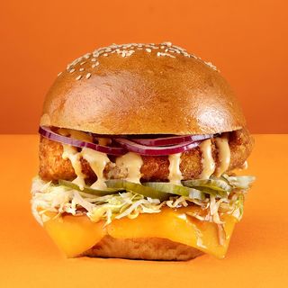 Chicken crunch teriyaki