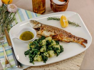 Brancin ( na žaru )