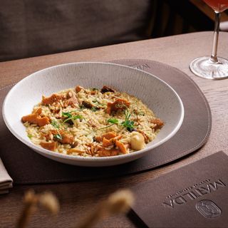 Rižoto sa divljim pečurkama