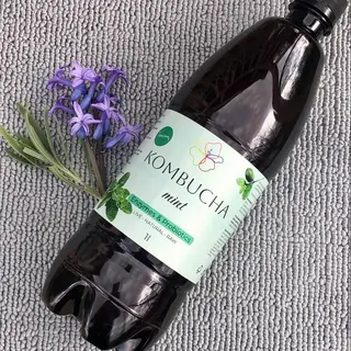 Kombucha mint
