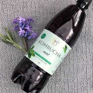 Kombucha mint
