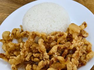 121 Hrskava svinjetina sa pirinčem小酥肉饭