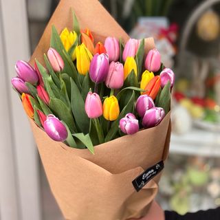 Fisek lala u natron pakovanju