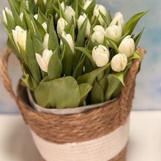 Boho korpa sa lalama M velicina