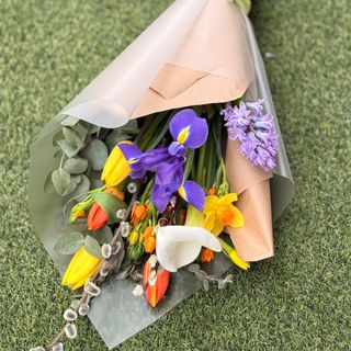 Prolecni fisek cveca