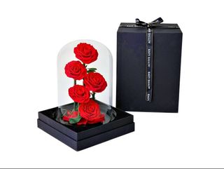 Dehidrirana ruža u staklenom zvonu 5