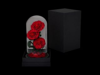 Dehidrirana ruža u staklenom zvonu 3