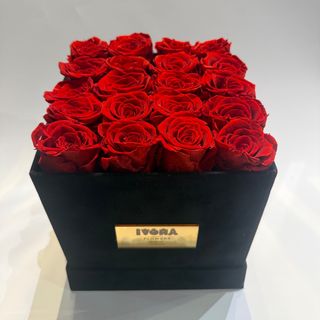 Box sa dehidriranim ruzama