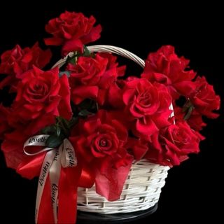 KORPA SA CRVENIM RUZAMA