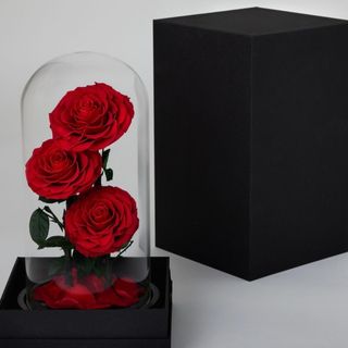 ZVONO DEHIDRIRANIH RUZA