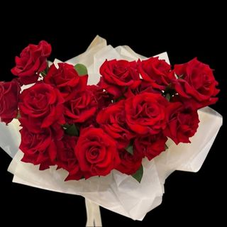 BUKET CRVENIX EKW RUZA