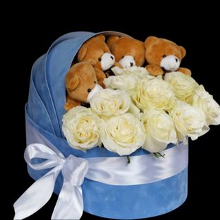 BABY PLAVA KOLEVKA M