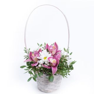 Korpica sa tri orhideje