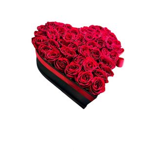 51 ruža u srcu