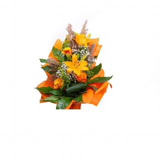 Narandžasti ljiljan sa pampasom