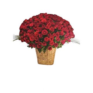 301 ruža u korpi