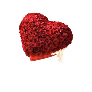 201 ruža u srcu