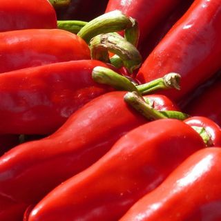Dodatak paprika sveža 100g.