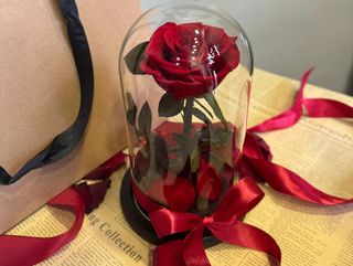 Večna ruža u staklenom zvonu