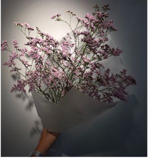 Limonium