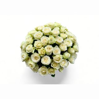 101 bela ruža korpa LUX