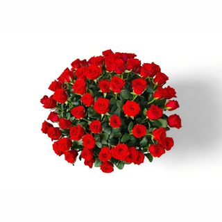 101 crvena ruža korpa LUX
