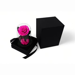 Dehidrirana ruža u staklenom zvonu