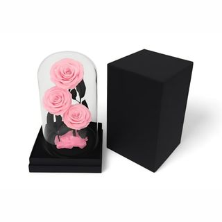 Tri dehidrirane ruže u staklenom zvonu