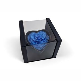 Dehidrirana ruža srce