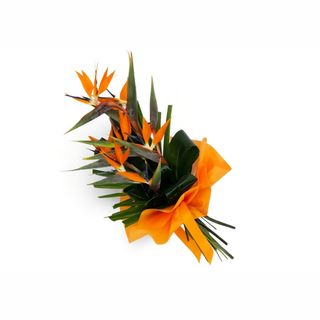 Buket sa strelicijama (rajskim pticama)