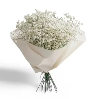 Buket Gipsofile