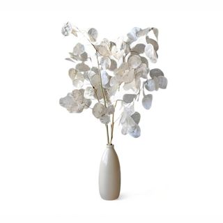 Lunaria - grana