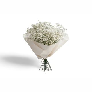 Buket Gipsofile