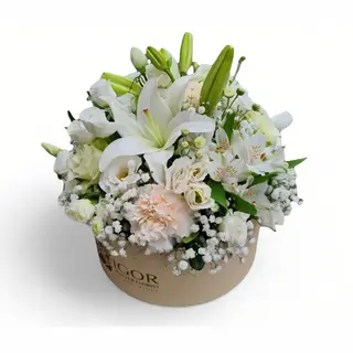 Ledeni Flower Box