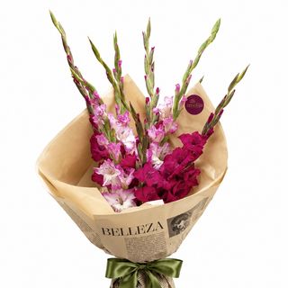 Buket ROZE & PINK GLADIOLE