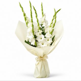 Buket BELE GLADIOLE
