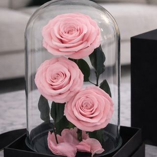 3 roze večne ruže u staklenom zvonu