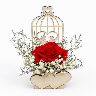 Love Korpica - Crvena Ruža